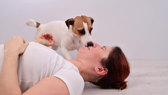 Woman lies on her back and dog jack russell terrier licks her face on a white background.