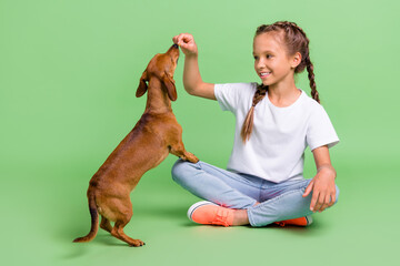 Full length body size photo little girl sitting feeding dog isolated pastel green color background