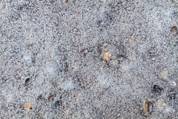 wet river pebbles are visible under the thin openwork ice