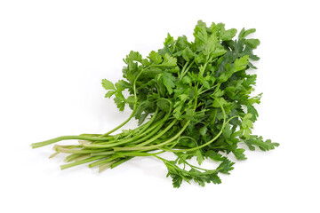 Bunch of fresh parsley on a white background