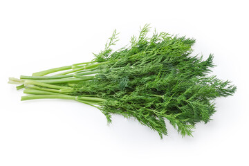 Bunch of dill twigs on a white background
