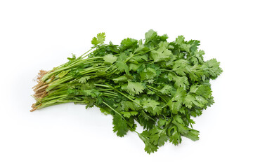 Bunch of the fresh young coriander on a white background