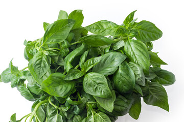 Bunch of the fresh green basil on a white background