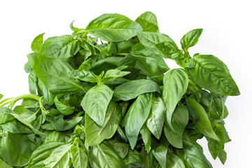 Top part of the bunch of the fresh green basil
