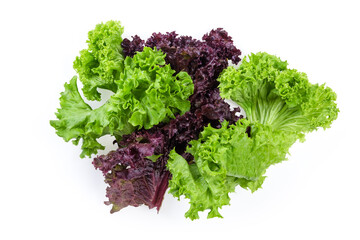Fototapeta premium Lettuce leaves of red and green varieties on white background