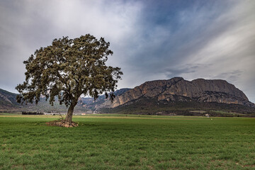 paisage típico de la comarca de l'Alt Urgell en la província de Lleida