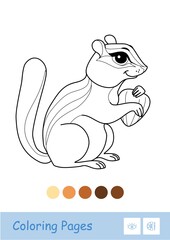 Colorless contour image of a chipmunk holding a nut isolated on white. Wild animals preschool kids coloring book illustrations and developmental activity.