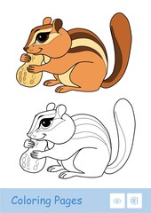 Colored template and colorless contour image of a chipmunk gnawing a nut isolated on white background. Wild animals preschool kids coloring book illustrations and developmental activity.