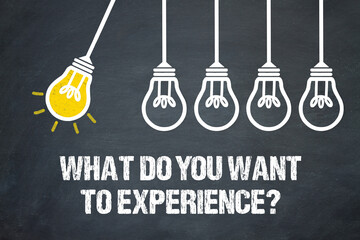 What do you want to experience?