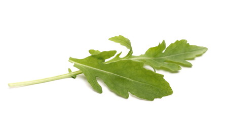Obraz premium Fresh rocket or arugula (Eruca vesicaria) isolated on white background and texture