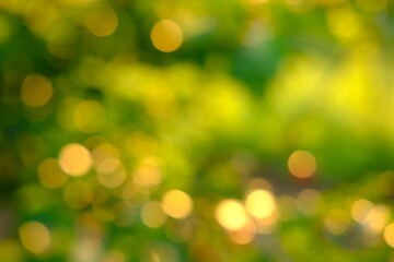 Fototapeta premium Nature abstract green and yellow gold bokeh blurred background,Sunlight shining to the leaves under the tree.Beautiful nature bokeh background of blurry sunset landscape and defocused round particles
