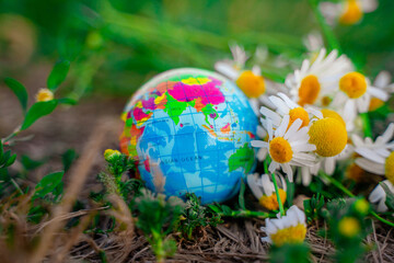 Obraz na płótnie Canvas A globe in the park on the grass with flowers. The concept of environmental protection