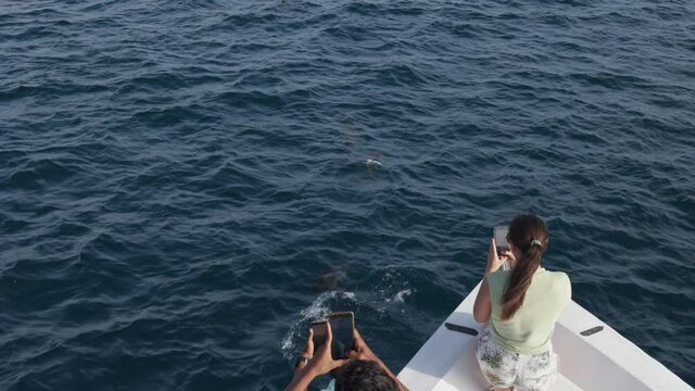 People taking video on phone while wild dolphins swim and play with bow of the tourist boat. Woman standing near railing on yacht catamaran, look at the Indian ocean and enjoy sea view during cruise.