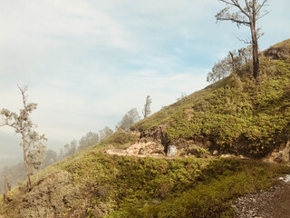 Fototapeta premium Hiking