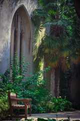 wooden bench in the garden