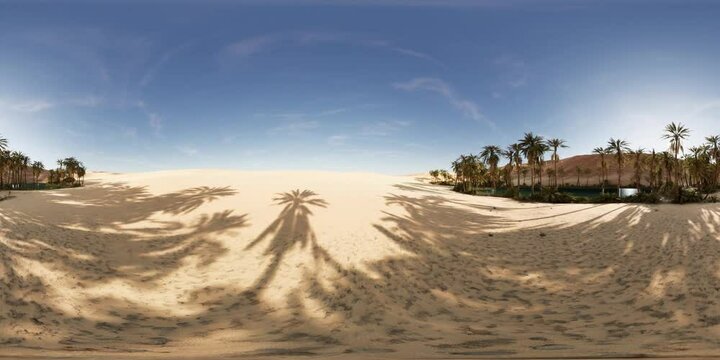 VR360 view of palm oasis in desert