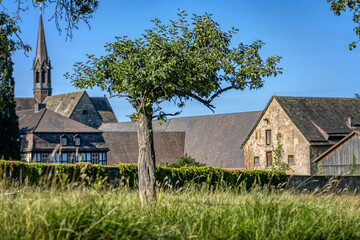 Kleiner Apfelbaum auf einer Wiese / Weide mit dem Kirchturm und dem Kloster Loccum im Hintergrund