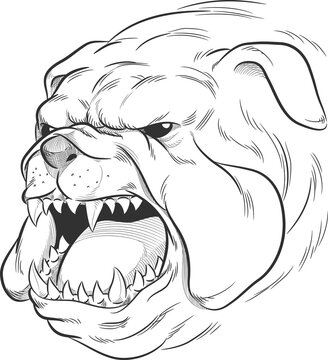 Sketch Angry Bulldog Head Barking Doodle Illustration Vector Drawing