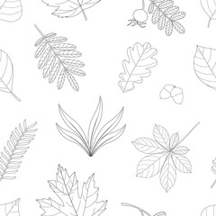 Seamless pattern autumn leaves black and white colors graphics vector illustration