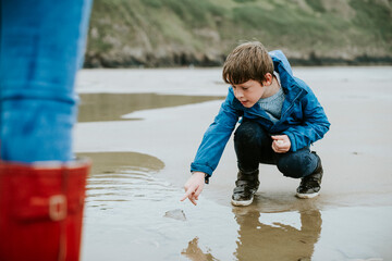 Young boy pointing at a jellyfish on the seashore