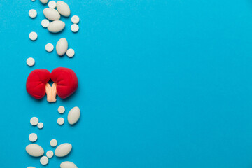 Human kidney, prevention and treatment of diseases. Urology healthcare. Copy space.