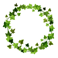 Green ivy circle frame, climbing vine vector wreath, liana floral garden border isolated on white. Nature foliage creeper illustration, spring realistic branch. Wedding ivy decoration frame clipart - obrazy, fototapety, plakaty