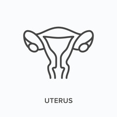 Uterus flat line icon. Vector outline illustration of womb. Black thin linear pictogram for gynecology system