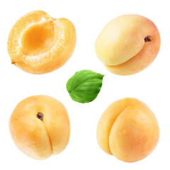 Naklejka na ściany i meble apricot. ripe and aromatic, organic apricot. material for designers. all parts of the apricot