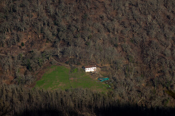 Basque mountains after a wild fire. Burned forest at February 2021.