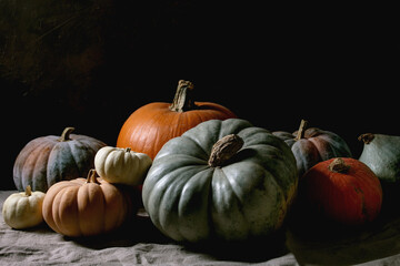 Colorful pumpkins collection on linen tablecloth. Dark still life - obrazy, fototapety, plakaty
