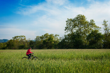 Un niño pasea en bici por un campo de trigo verde.