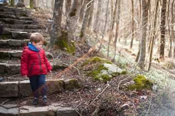 Un niño baja unas escaleras por un bosque hivernal