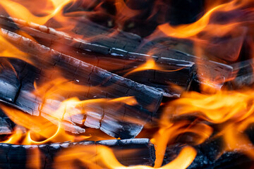 the flame licks the charred logs