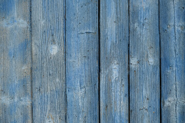 Fototapeta premium Old wooden door background. Vintage painted wood texture.