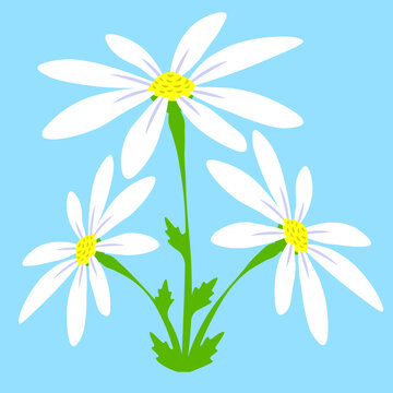 Daisy flower cartoon floral bush isolated colorful illustration