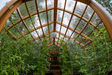 Wooden domestic interior greenhouse for growing vegetables