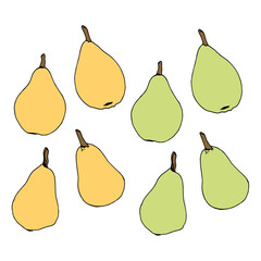 Pears on white background. Vector image.
