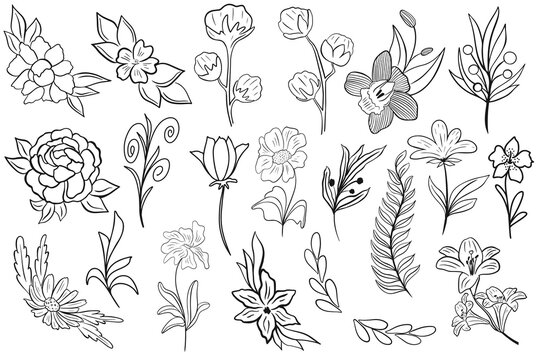 Set of simple botanical elements for design, vector illustration. Collection of flowers and leaves, hand drawing. Contour black minimalistic illustrations for decor and postcards.

