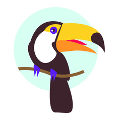 Toucan bird cartoon character. flat vector isolated on white. Colorful icon of tropical nature. Wild animal illustration for zoo ad, brand logo, book