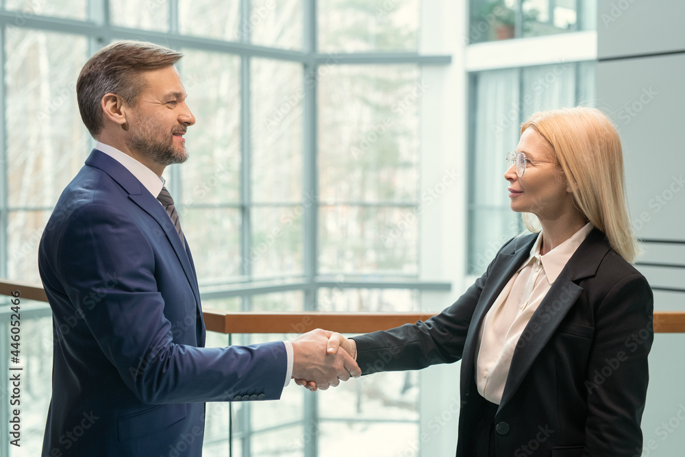 Poster side view of business partners looking at each other and shaking hands, they greeting each other at 