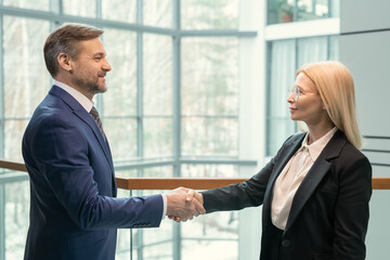 Side view of business partners looking at each other and shaking hands, they greeting each other at office