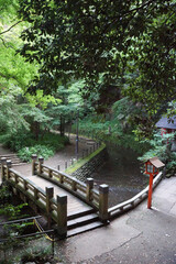 Obraz premium 都会にある自然 東京23区内唯一の渓谷、等々力渓谷の利剣の橋