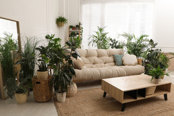 Stylish room interior with comfortable sofa and beautiful potted plants. Lounge zone