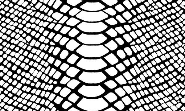 Trendy snake skin vector seamless pattern. Hand drawn wild animal skin, black and white repeat reptile texture for fashion python print design, fabric, textile, background, wallpaper