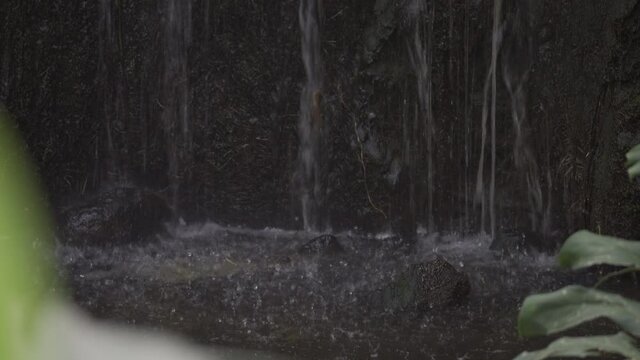 Petite cascade durant un jour de pluie