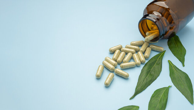 Close-up of andrographis paniculata capsules spilling out of a drug bottle with green leaves isolated on a light blue background. Space for text. Herbal, medicine, and healthcare concept