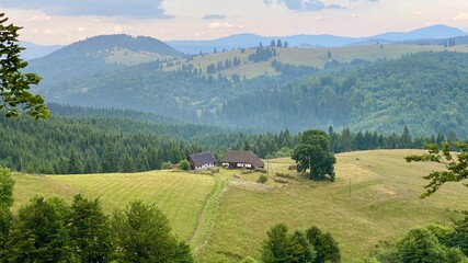Obraz premium Summer in Transylvania.