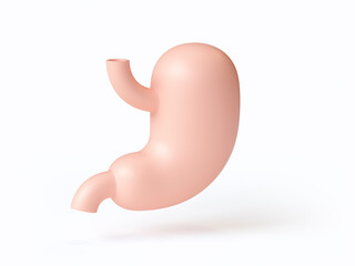 Isometric 3d illustration of stylized human stomach isolated on white. Inspired by flat design trends