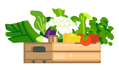 Fresh vegetables in wooden box. Vector illustration - 446056284