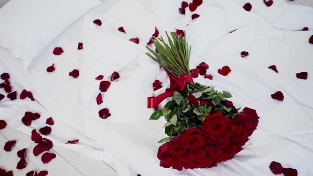Red roses on a white background and rose petals - Valentine's, anniversary wedding message.